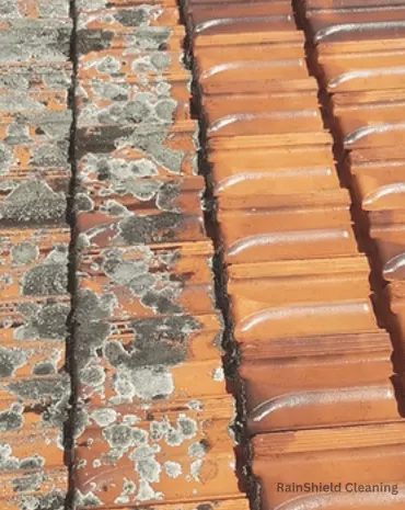 A comparison photo of a roof gutter before and after a cleared downspout, showing restored water flow.