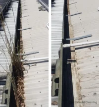Here’s a photo of a steel roof gutter in Cincinnati, OH, overrun with leaves and even a tree sprouting.