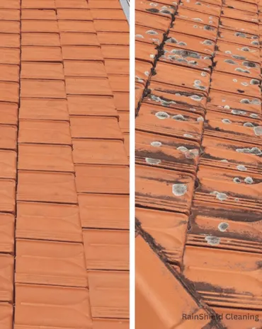 Here’s a project before after photo showing a cleaned downspout in Cincinnati, OH. Ensures downspouts are clear and functioning, preventing clogs and water damage